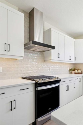 87 Setonstone Landing Se, Calgary, AB - Indoor Photo Showing Kitchen With Upgraded Kitchen