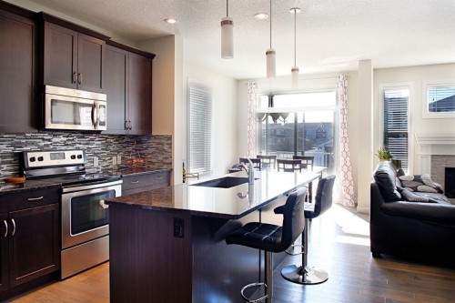 193 Redstone Common Ne, Calgary, AB - Indoor Photo Showing Kitchen With Upgraded Kitchen