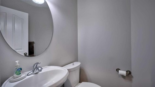 139 Coopers Close Sw, Airdrie, AB - Indoor Photo Showing Bathroom