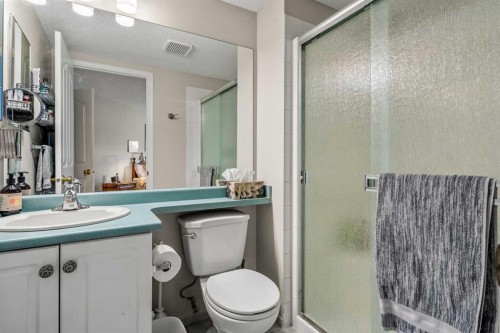 2111 Millrise Point Sw, Calgary, AB - Indoor Photo Showing Bathroom
