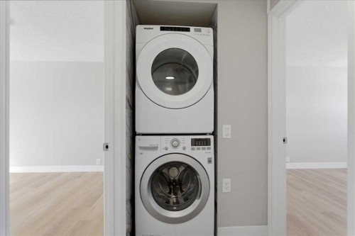 172 Abinger Crescent Ne, Calgary, AB - Indoor Photo Showing Laundry Room