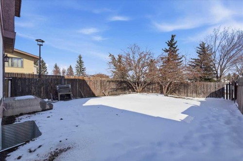 172 Abinger Crescent Ne, Calgary, AB - Outdoor