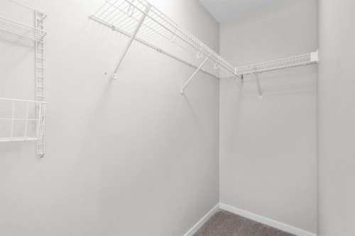 78 New Brighton Landing Se, Calgary, AB - Indoor With Storage
