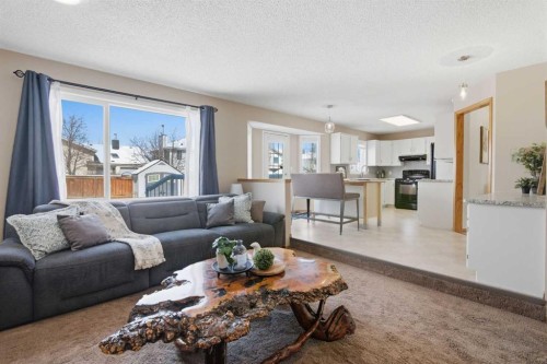 88 Sunmeadows Road Se, Calgary, AB - Indoor Photo Showing Living Room