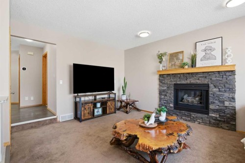 88 Sunmeadows Road Se, Calgary, AB - Indoor Photo Showing Living Room With Fireplace