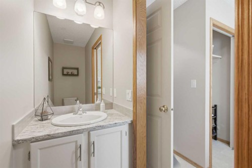 88 Sunmeadows Road Se, Calgary, AB - Indoor Photo Showing Bathroom