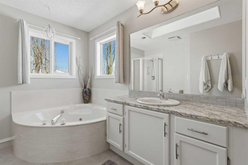 88 Sunmeadows Road Se, Calgary, AB - Indoor Photo Showing Bathroom
