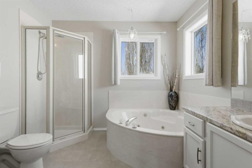 88 Sunmeadows Road Se, Calgary, AB - Indoor Photo Showing Bathroom