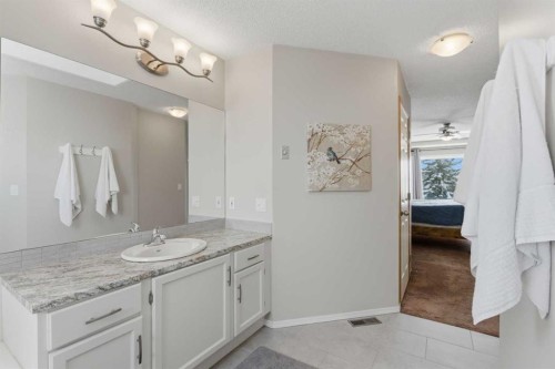 88 Sunmeadows Road Se, Calgary, AB - Indoor Photo Showing Bathroom
