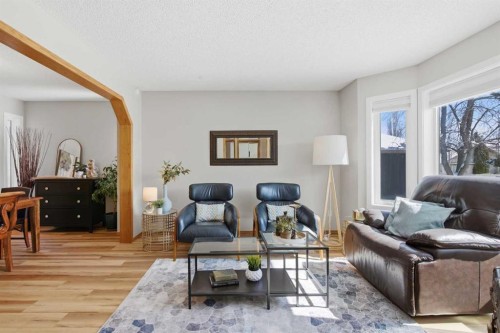 88 Sunmeadows Road Se, Calgary, AB - Indoor Photo Showing Living Room