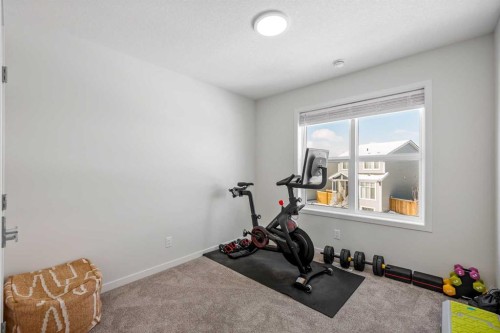 234 Magnolia Way Se, Calgary, AB - Indoor Photo Showing Gym Room
