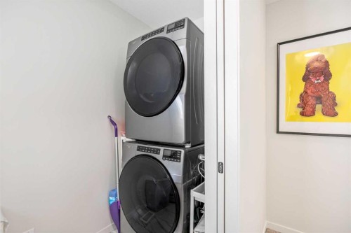 234 Magnolia Way Se, Calgary, AB - Indoor Photo Showing Laundry Room