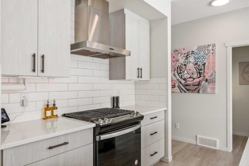 234 Magnolia Way Se, Calgary, AB - Indoor Photo Showing Kitchen With Upgraded Kitchen