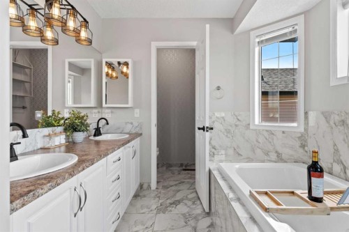 95 Sierra Nevada Green Sw, Calgary, AB - Indoor Photo Showing Bathroom