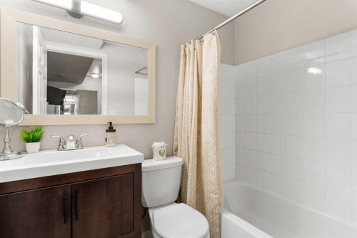 95 Sierra Nevada Green Sw, Calgary, AB - Indoor Photo Showing Bathroom