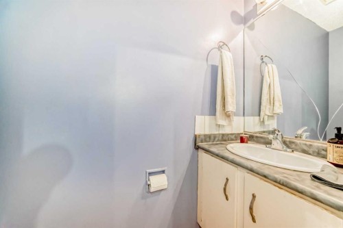 4809 60 Street Ne, Calgary, AB - Indoor Photo Showing Bathroom