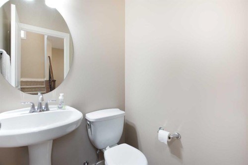 147 Morningside Mews Sw, Airdrie, AB - Indoor Photo Showing Bathroom