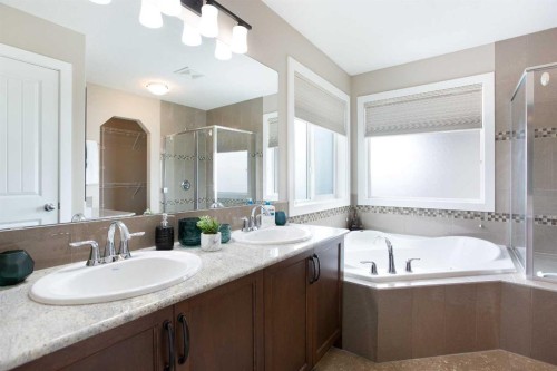 147 Morningside Mews Sw, Airdrie, AB - Indoor Photo Showing Bathroom
