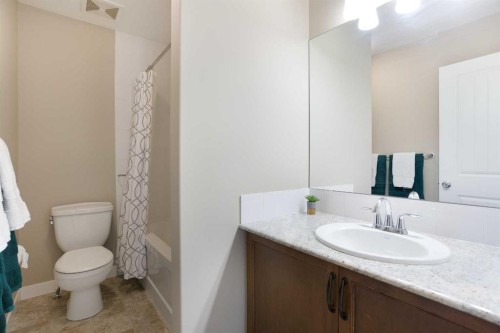 147 Morningside Mews Sw, Airdrie, AB - Indoor Photo Showing Bathroom