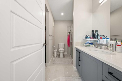 281 Waterford Boulevard, Chestermere, AB - Indoor Photo Showing Bathroom