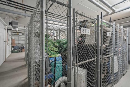 114-300 Auburn Meadows Common Se, Calgary, AB - Indoor With Storage