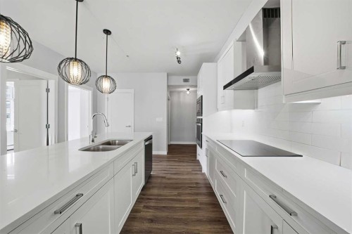 114-300 Auburn Meadows Common Se, Calgary, AB - Indoor Photo Showing Kitchen With Double Sink