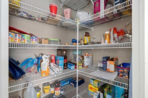 44 Cimarron Springs Circle, Okotoks, AB - Indoor With Storage