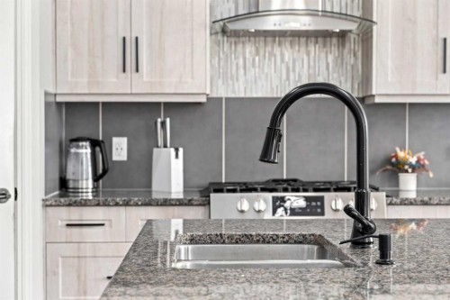 44 Cimarron Springs Circle, Okotoks, AB - Indoor Photo Showing Kitchen With Double Sink With Upgraded Kitchen