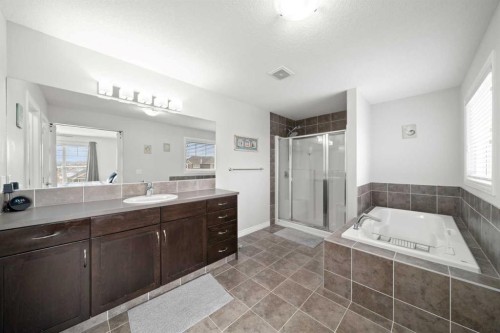 44 Cimarron Springs Circle, Okotoks, AB - Indoor Photo Showing Bathroom