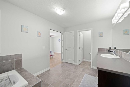 44 Cimarron Springs Circle, Okotoks, AB - Indoor Photo Showing Bathroom