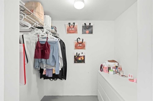 44 Cimarron Springs Circle, Okotoks, AB - Indoor With Storage