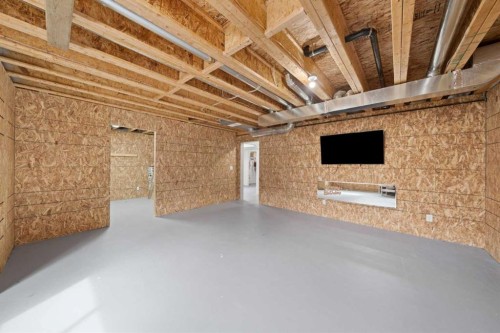 44 Cimarron Springs Circle, Okotoks, AB - Indoor Photo Showing Basement
