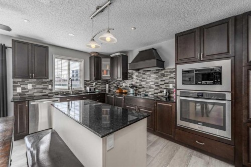217 Bayside Place Sw, Airdrie, AB - Indoor Photo Showing Kitchen With Stainless Steel Kitchen With Upgraded Kitchen