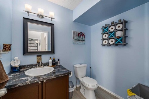 217 Bayside Place Sw, Airdrie, AB - Indoor Photo Showing Bathroom
