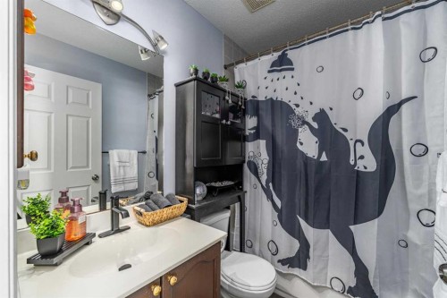 217 Bayside Place Sw, Airdrie, AB - Indoor Photo Showing Bathroom