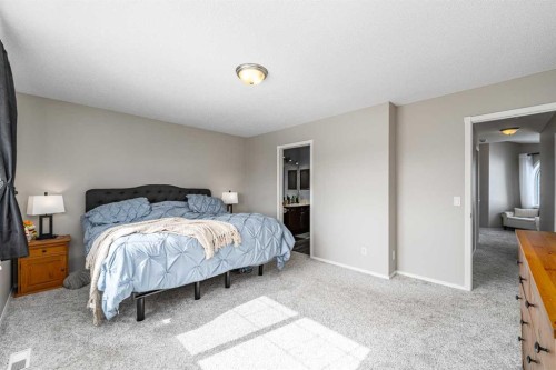 217 Bayside Place Sw, Airdrie, AB - Indoor Photo Showing Bedroom