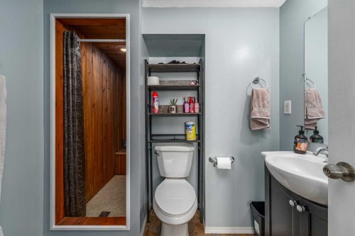 217 Bayside Place Sw, Airdrie, AB - Indoor Photo Showing Bathroom