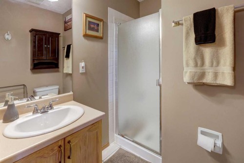 19 Everglade Drive Se, Airdrie, AB - Indoor Photo Showing Bathroom
