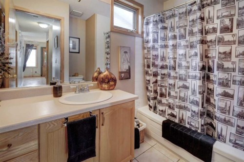19 Everglade Drive Se, Airdrie, AB - Indoor Photo Showing Bathroom
