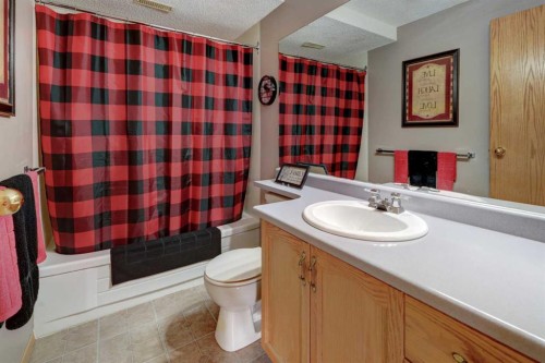 19 Everglade Drive Se, Airdrie, AB - Indoor Photo Showing Bathroom