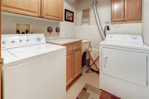 19 Everglade Drive Se, Airdrie, AB - Indoor Photo Showing Laundry Room