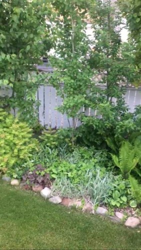 19 Everglade Drive Se, Airdrie, AB - Outdoor