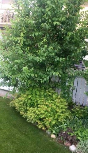 19 Everglade Drive Se, Airdrie, AB - Outdoor