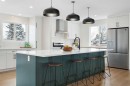248 Madeira Place Ne, Calgary, AB  - Indoor Photo Showing Kitchen With Upgraded Kitchen 