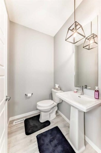 220 Cornerstone Grove Ne, Calgary, AB - Indoor Photo Showing Bathroom