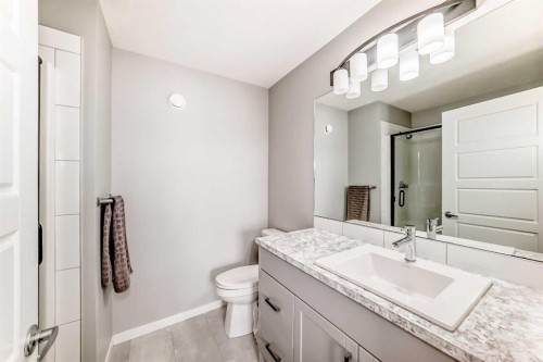 220 Cornerstone Grove Ne, Calgary, AB - Indoor Photo Showing Bathroom