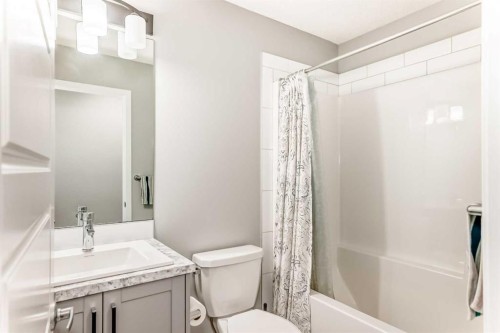 220 Cornerstone Grove Ne, Calgary, AB - Indoor Photo Showing Bathroom