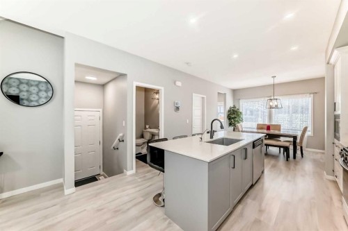 220 Cornerstone Grove Ne, Calgary, AB - Indoor Photo Showing Kitchen With Upgraded Kitchen