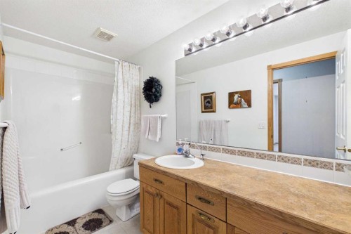 535 Cimarron Point, Okotoks, AB - Indoor Photo Showing Bathroom