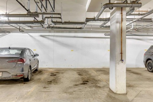 6408-20295 Seton Way Se, Calgary, AB - Indoor Photo Showing Garage